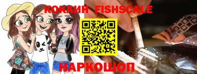 крисы Кулебаки