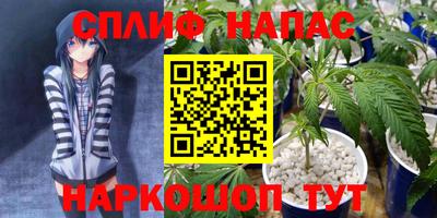крисы Кулебаки
