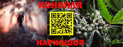 крисы Кулебаки