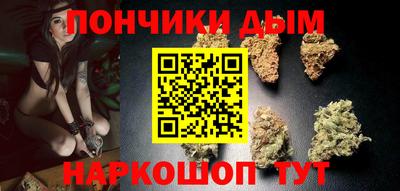 крисы Кулебаки