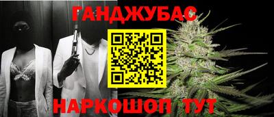 крисы Кулебаки