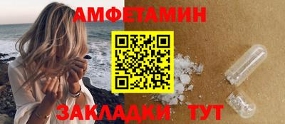 крисы Кулебаки